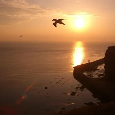 Felsen-eck Gæstehus